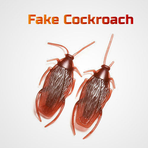 Fake Cockroach - Set of 2