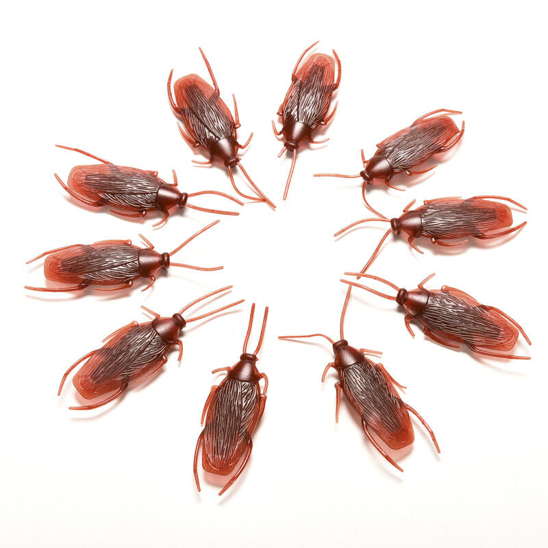 Fake Cockroach - Set of 5