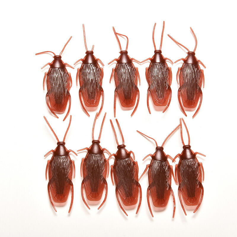 Fake Cockroach - Set of 5