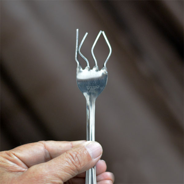 Prediction Fork