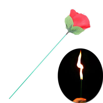 Torch Fire To Rose Flower