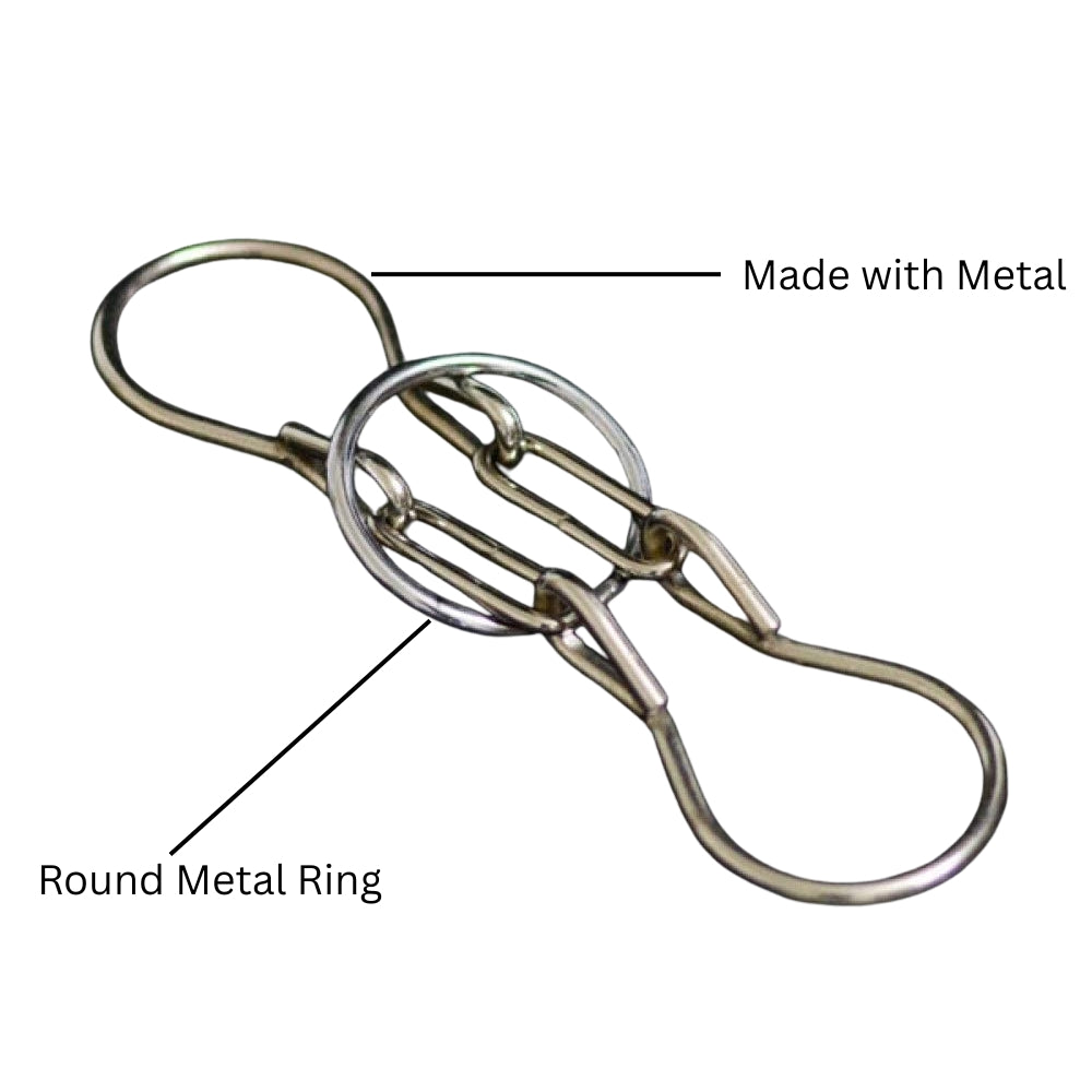Horseshoe Puzzle - Metal