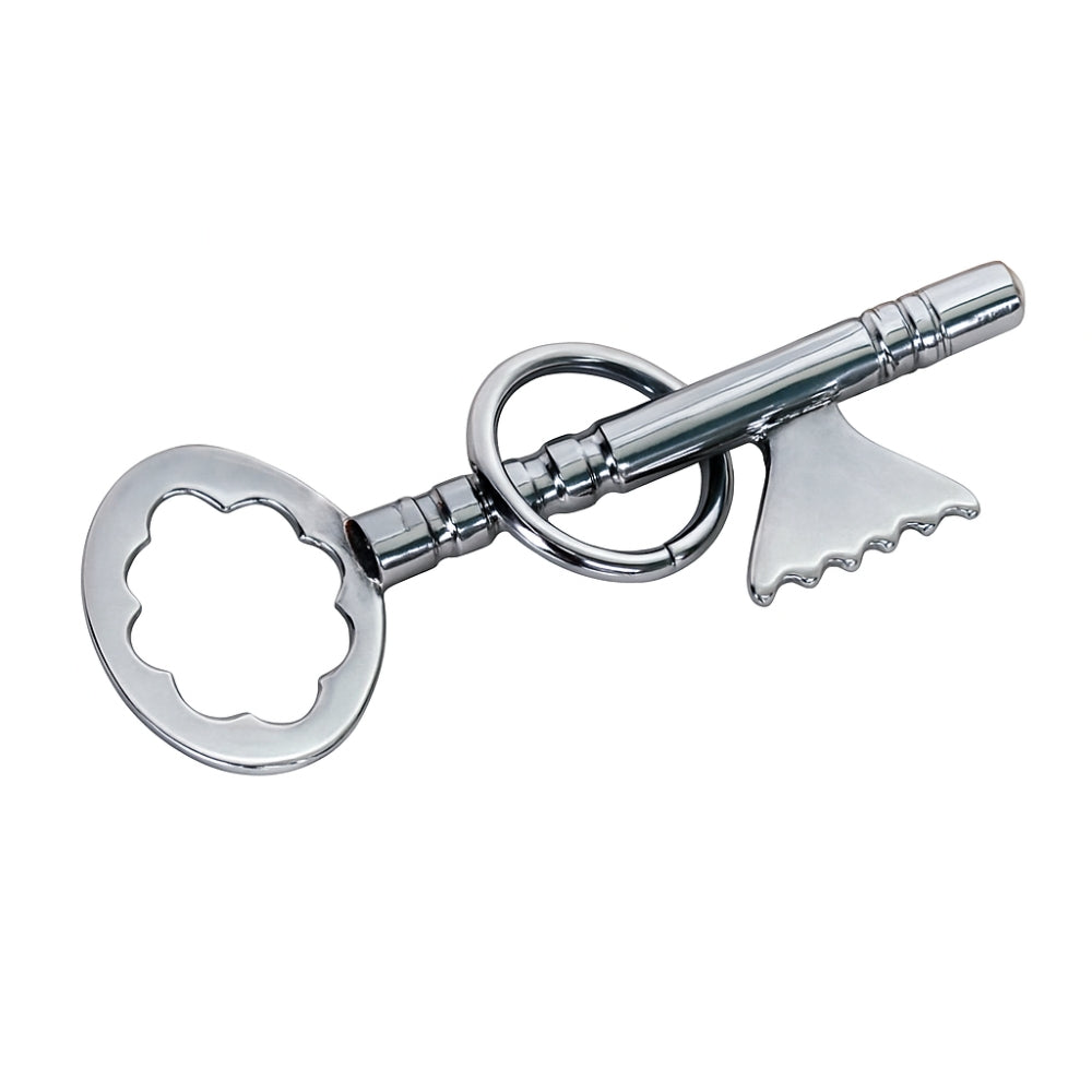 Key & Ring Mystery Puzzle