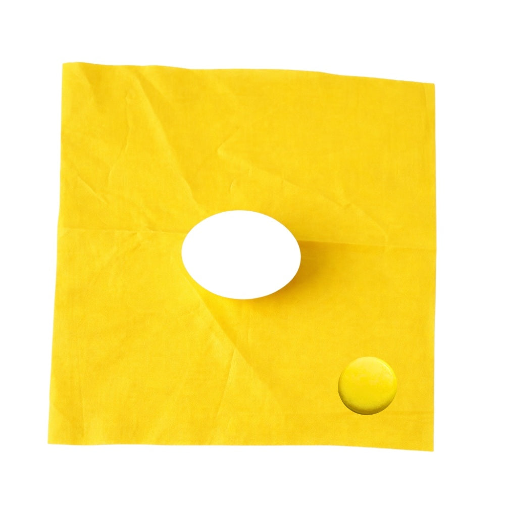 Silk to Egg Magic Trick