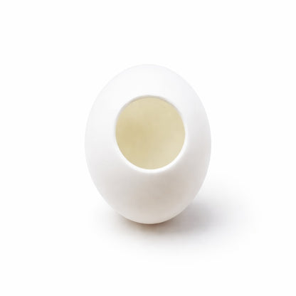 Silk to Egg Magic Trick