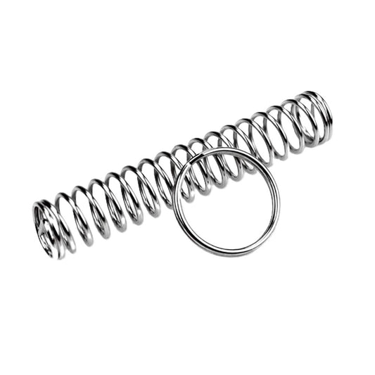 Ring and Spring Puzzle