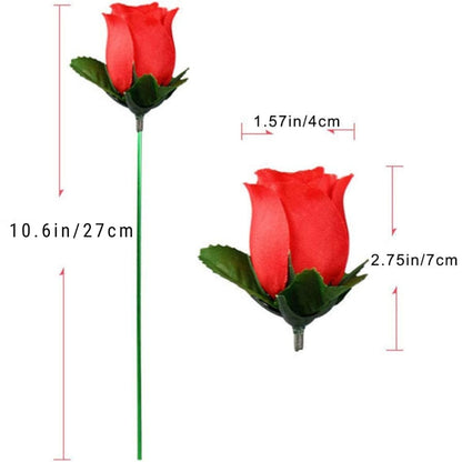 Torch Fire to Rose Flower