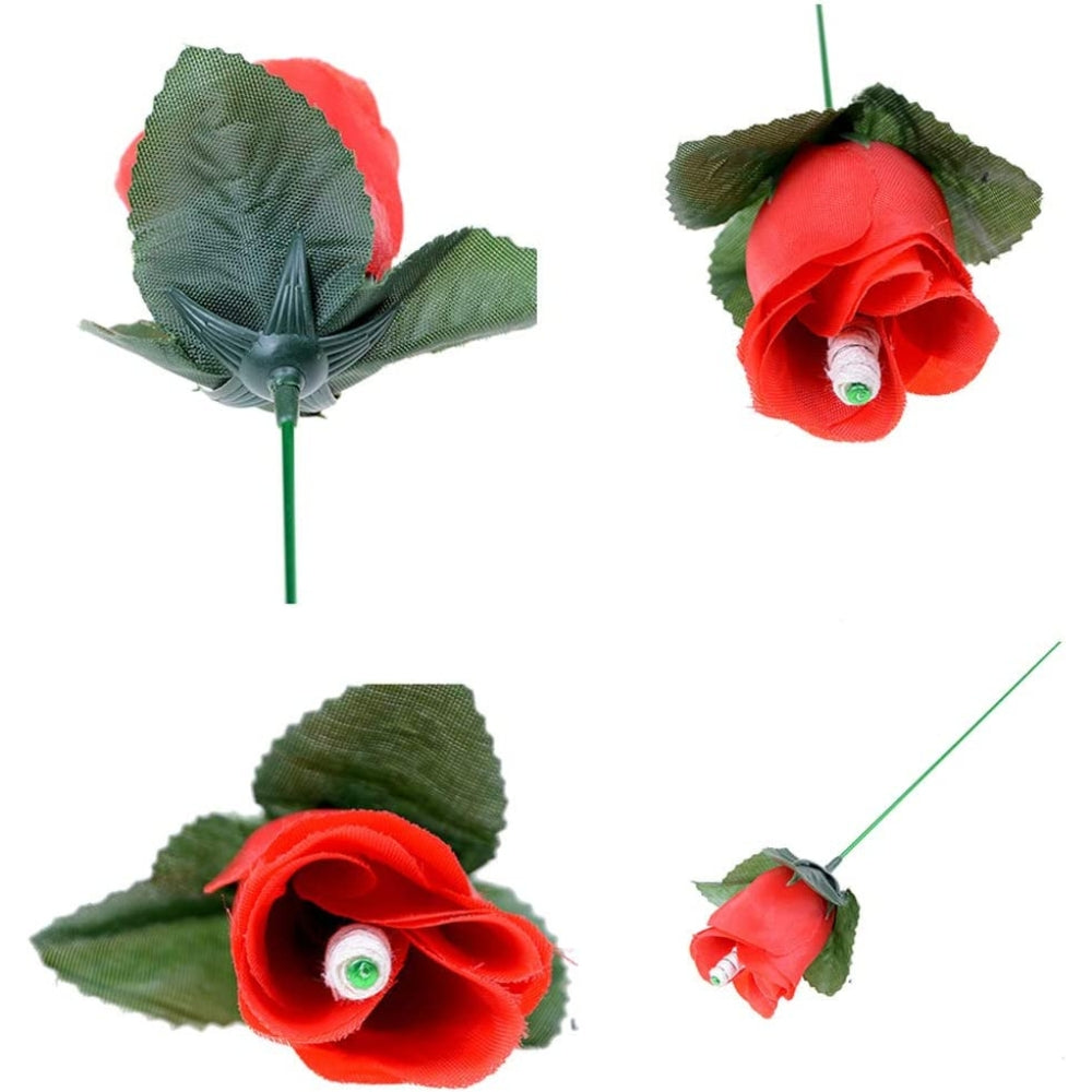 Torch Fire to Rose Flower