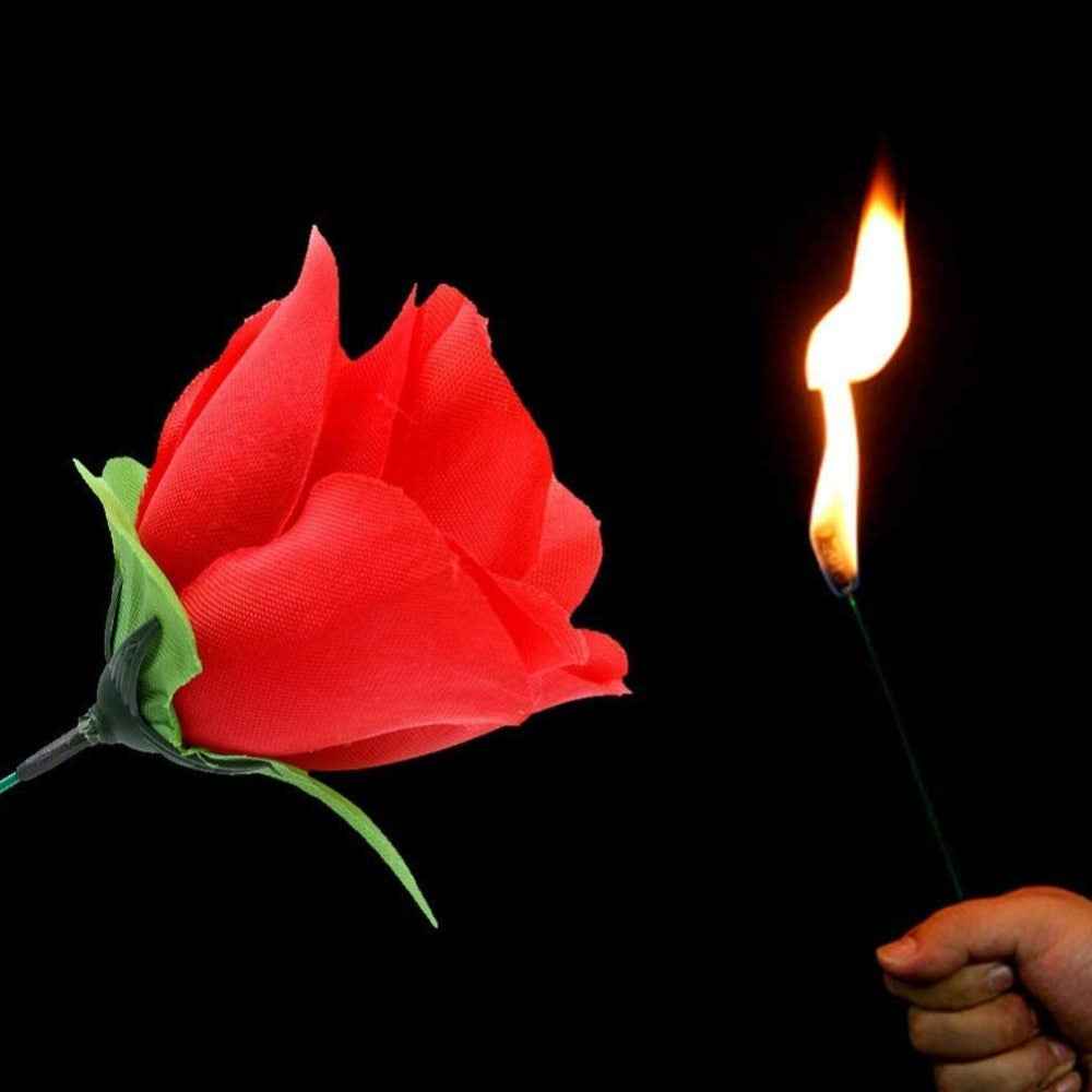 Torch Fire to Rose Flower