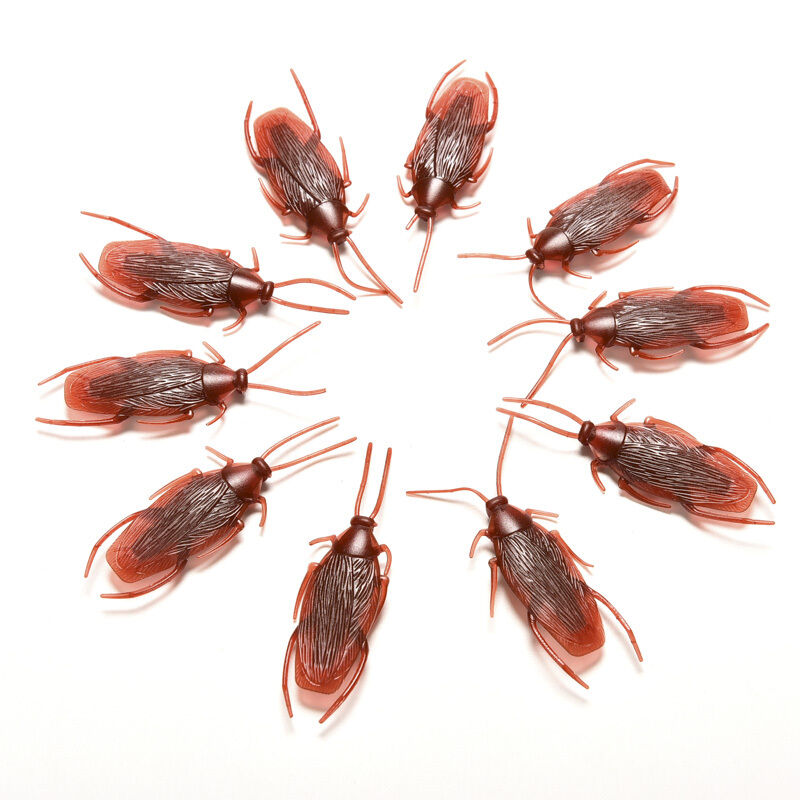 Fake Cockroach - Set of 2