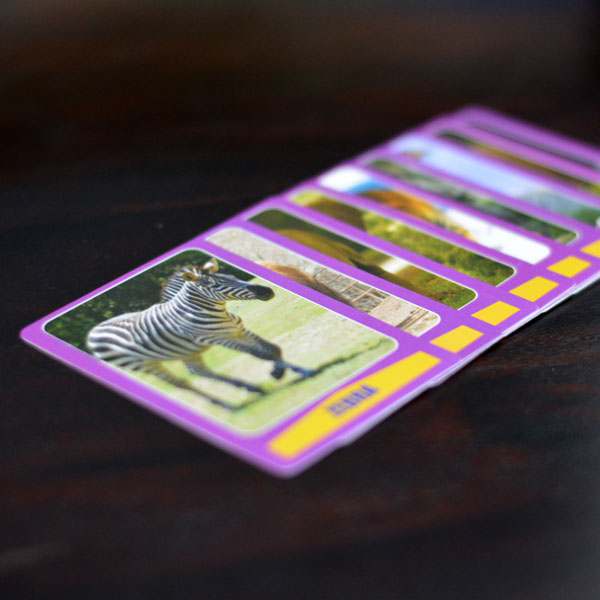 Magic Safari Cards Trick