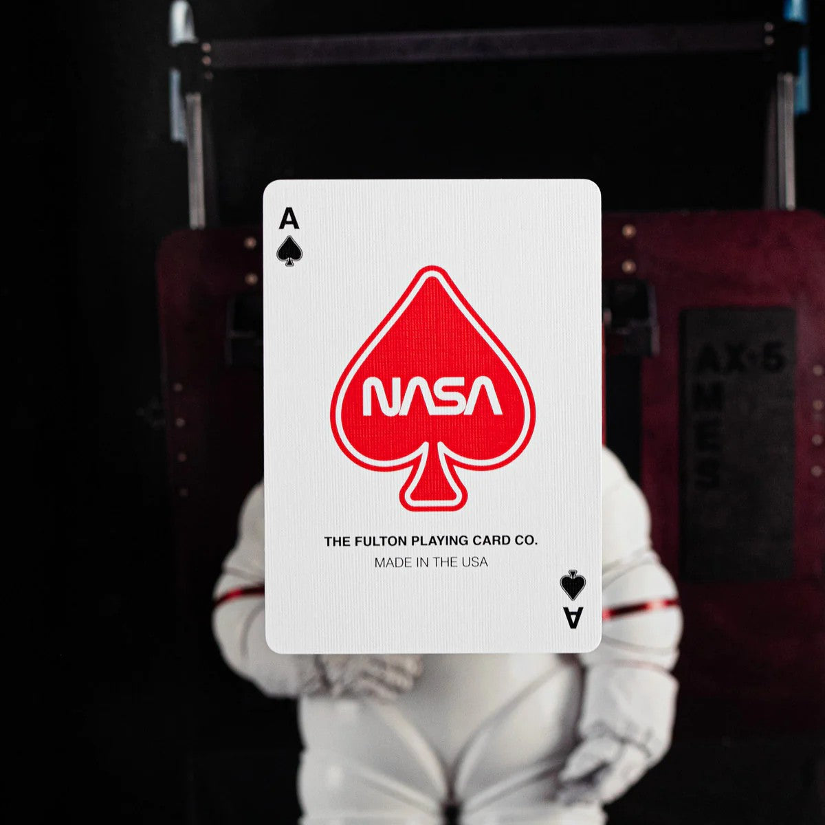 Official NASA Worm Playing Cards