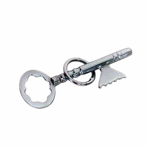 Ring On Key Puzzle