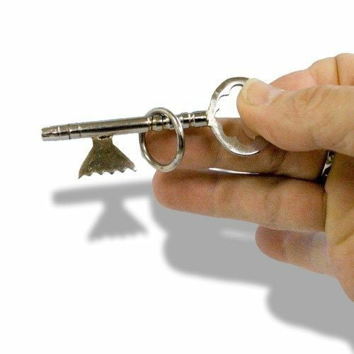 Ring On Key Puzzle