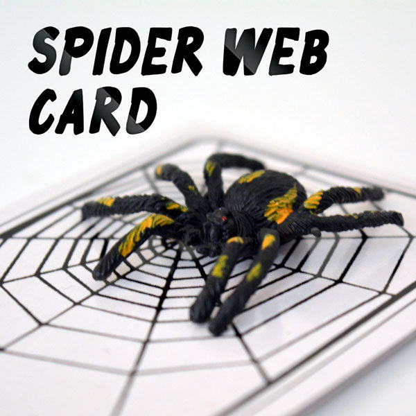 The Spider Web Card