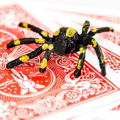 The Spider Web Card
