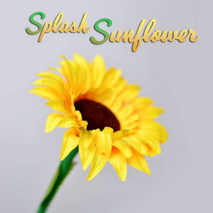 Splash Sunflower