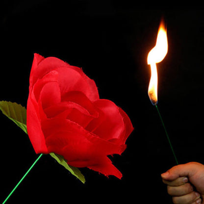 Torch Fire To Rose Flower