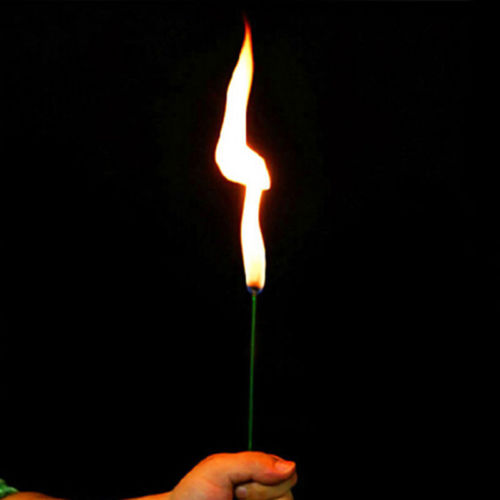 Torch Fire To Rose Flower