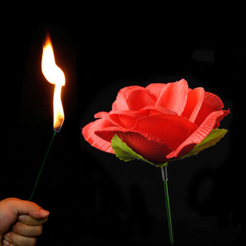 Torch Fire To Rose Flower
