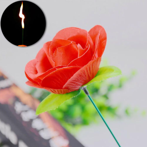 Torch Fire To Rose Flower