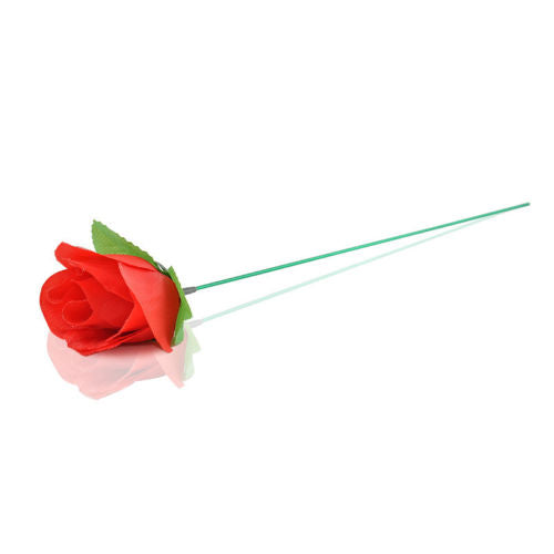 Torch Fire To Rose Flower