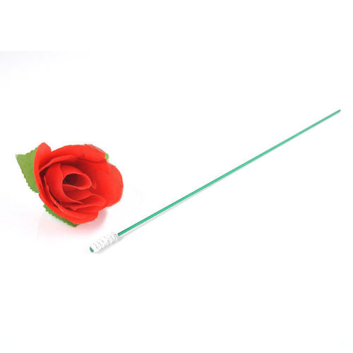 Torch Fire To Rose Flower