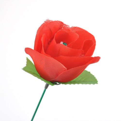 Torch Fire To Rose Flower