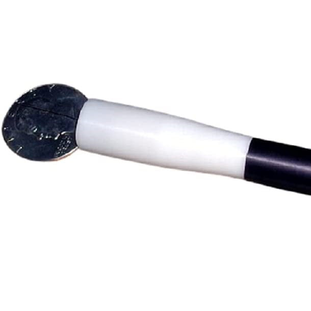 Wand Through Coins
